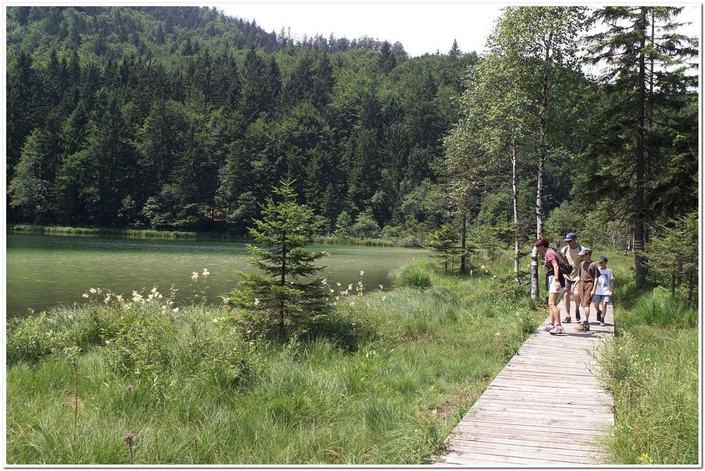 Aktivhotel & Gasthof Schmelz Ihr Urlaubs Hotel In Inzell Mit Wellness Hallenbad, Alpensauna & Dampfbad Dış mekan fotoğraf